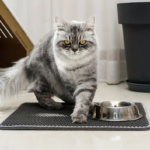 Tapete Arenero para Gato Limpieza - 475986