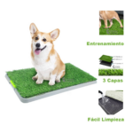 Tapete Entrenamiento Para Perro Grande - 273477
